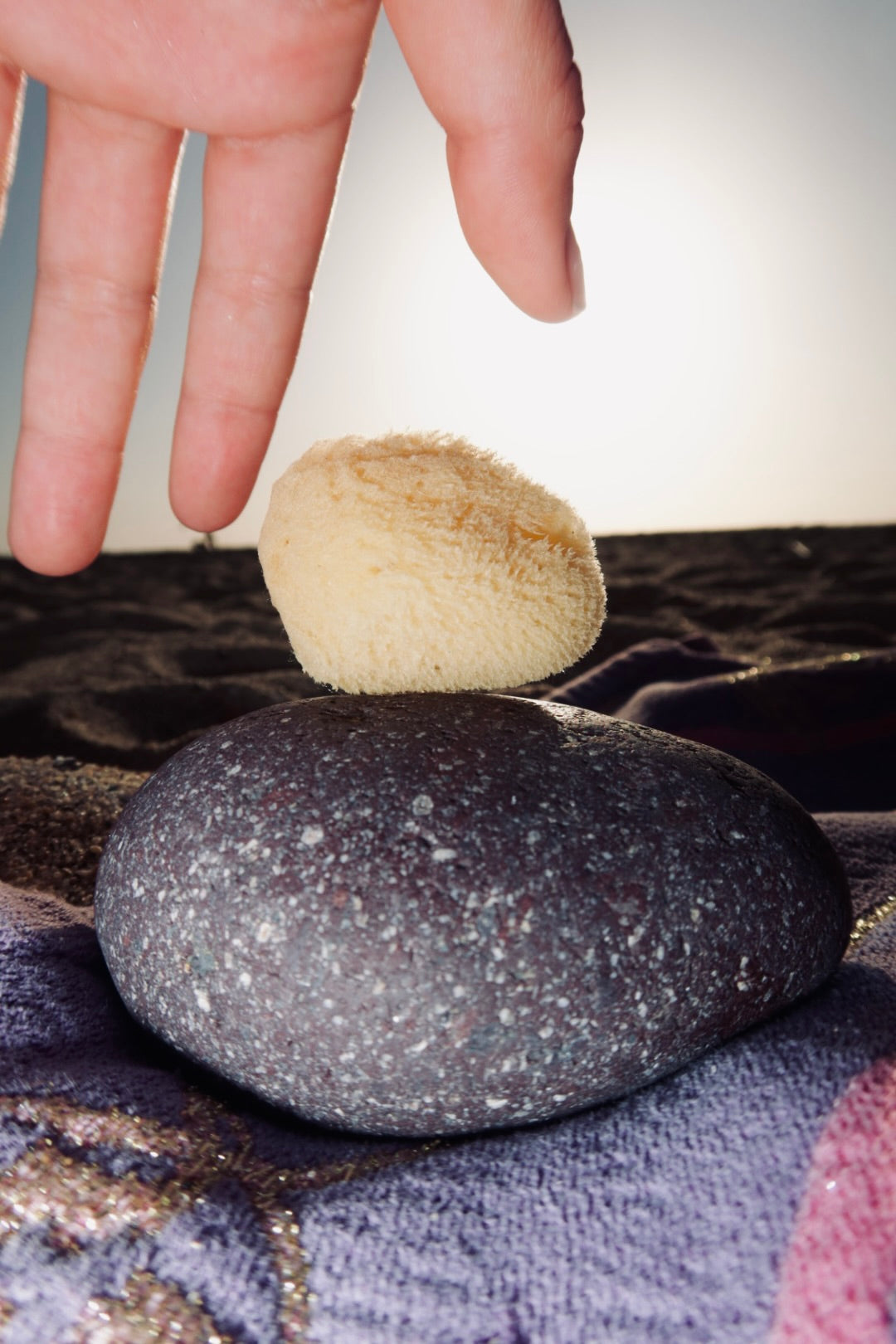 Natural Sea Sponge for Face and Body