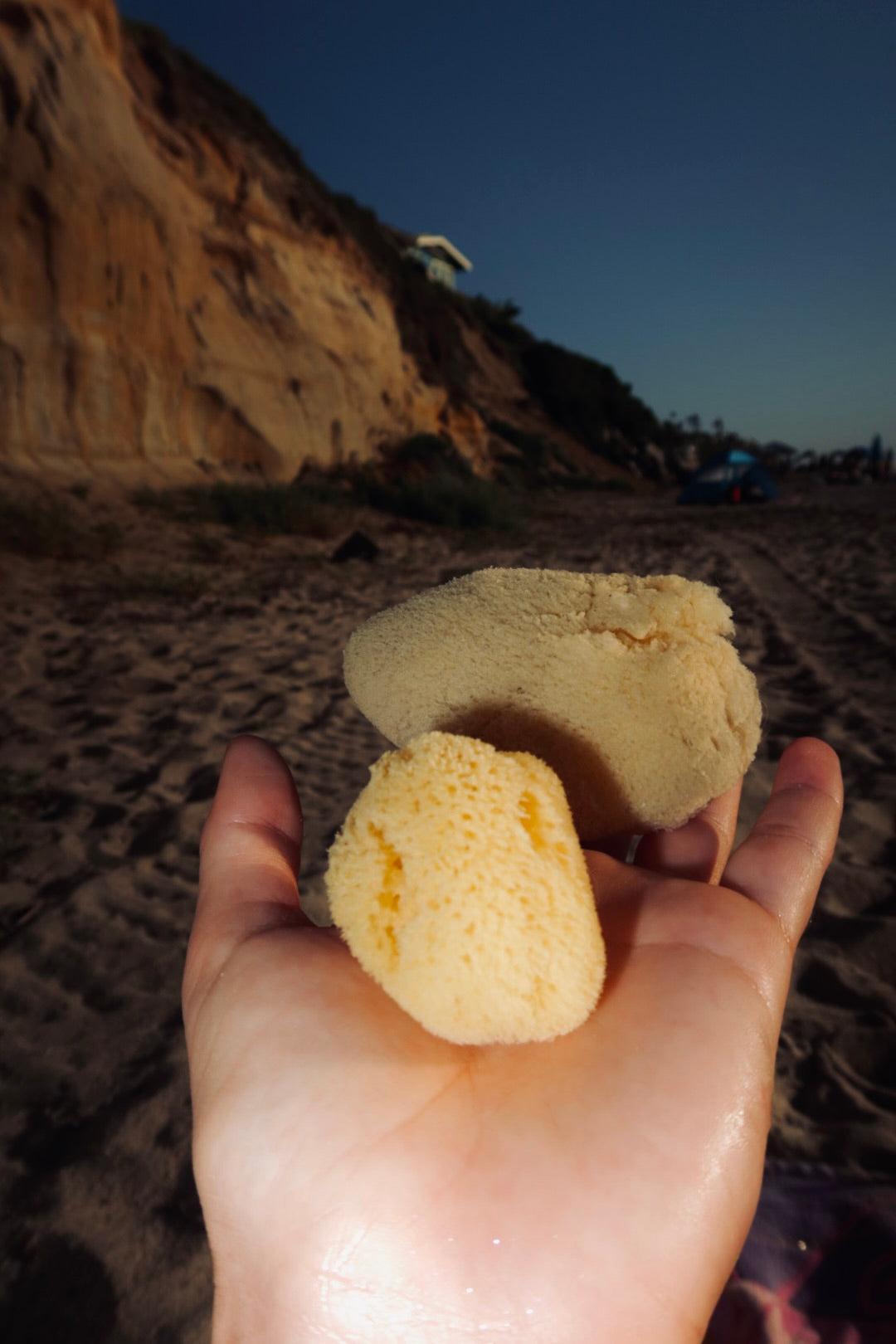 Natural Sea Sponge for Face and Body