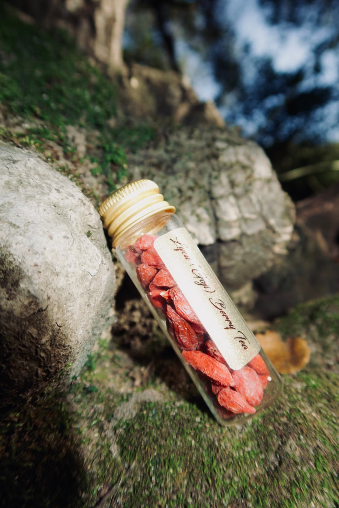 Spring Ritual Gift Box