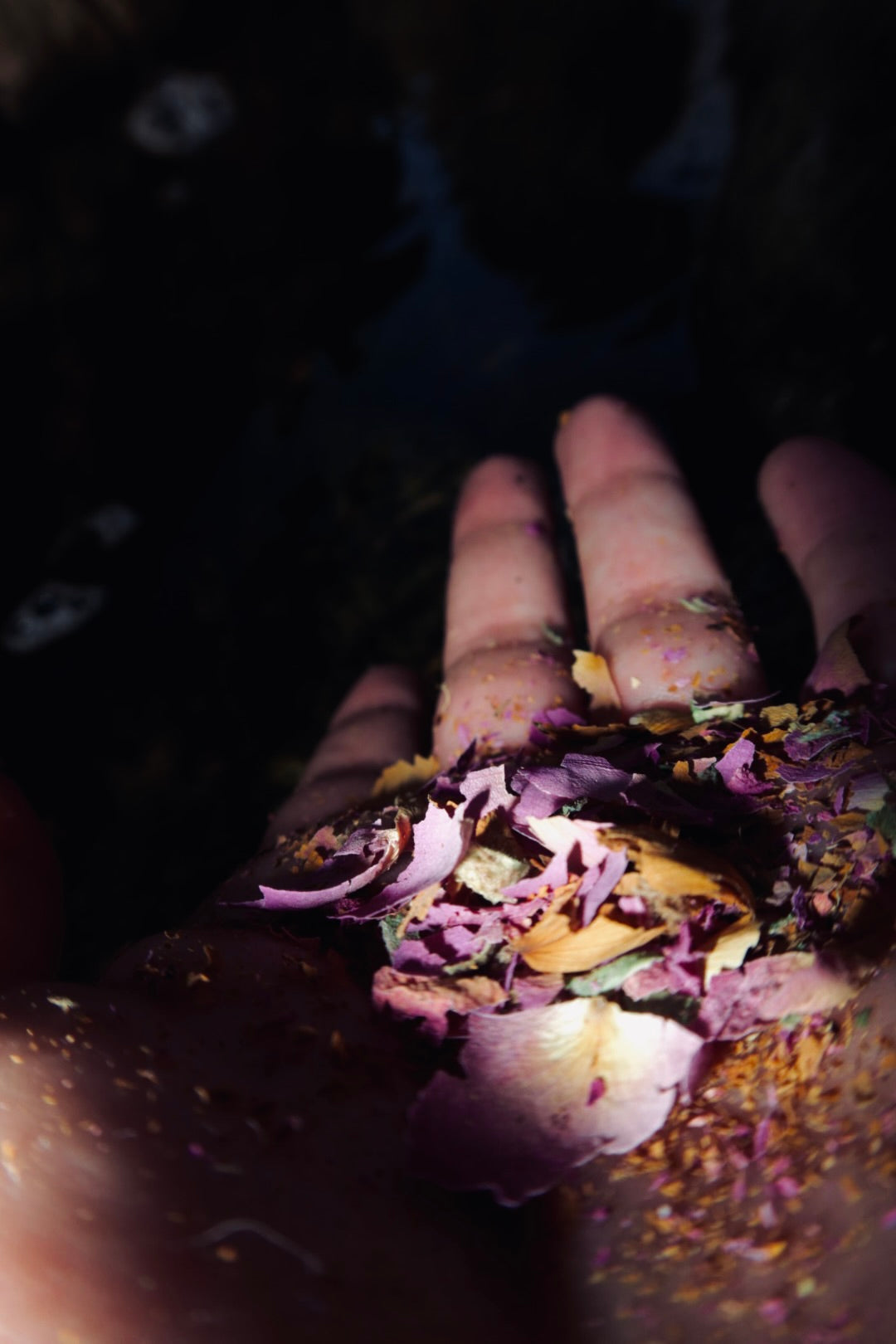 Spring Ritual Gift Box